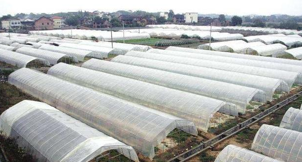 农业大量的使用塑料大棚和地膜，该怎样处理才能减少塑料污染呢？