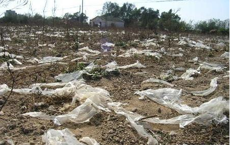 农业大量的使用塑料大棚和地膜，该怎样处理才能减少塑料污染呢？